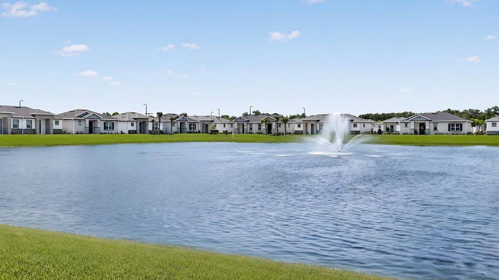 pond