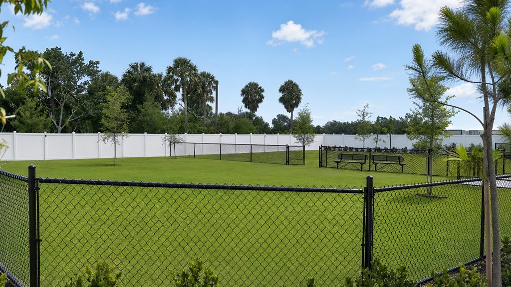 dog park