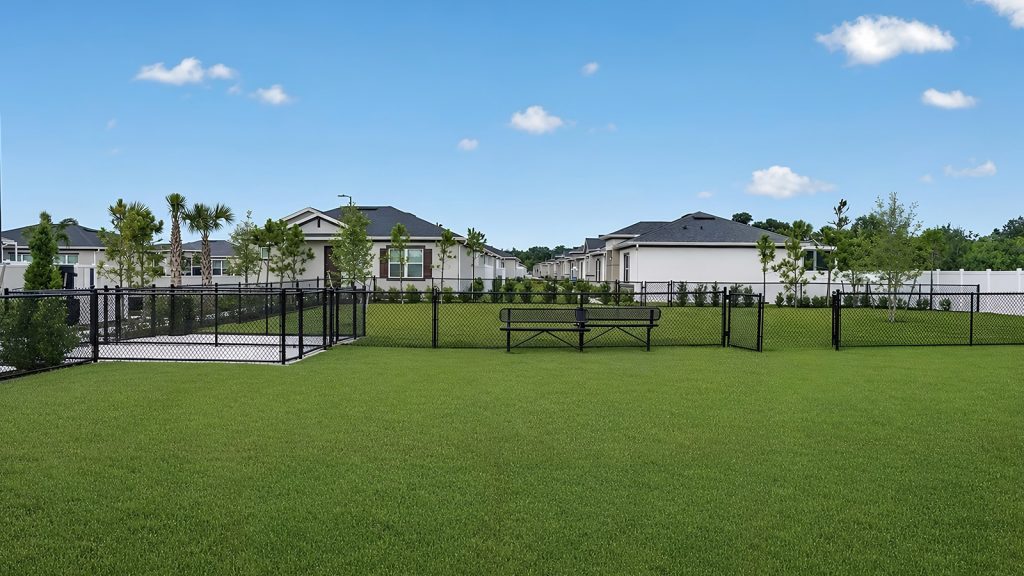 dog park