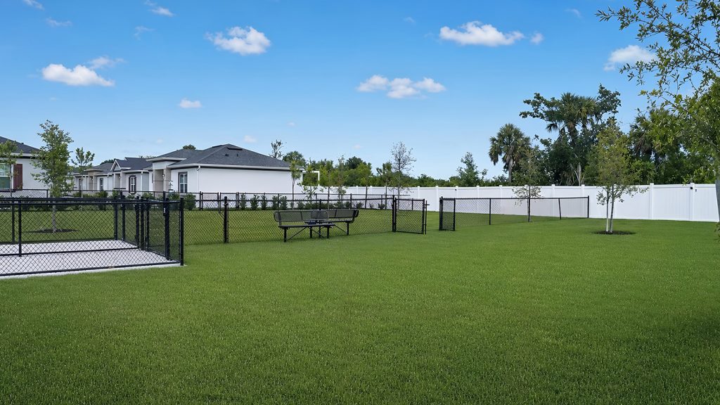 dog park